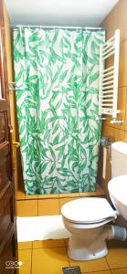 a bathroom with a green and white shower curtain at Casa Moroeni in Moroeni