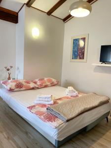 a bedroom with a bed with pillows and a tv at Apartment Grappa in Vrbnik