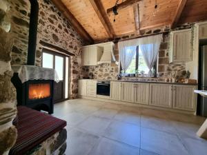 a kitchen with a fireplace and a stove in it at Mesavlia Traditional Stone House in Mesávlia