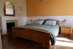 a bedroom with a bed and a mirror on the wall at Maison La Chapelle Bellevue in Saint-Solve
