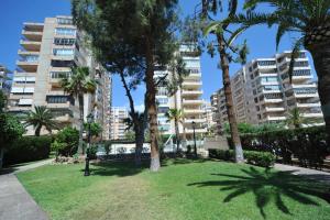 un parc avec des palmiers et de grands bâtiments dans l'établissement Madeira Superior Orangecosta, à Benicàssim