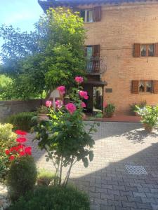 Zahrada ubytování Hotel Arcobaleno Siena