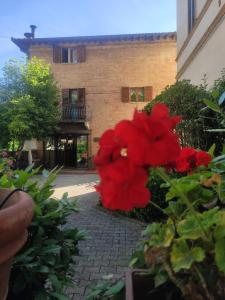 西恩納的住宿－Hotel Arcobaleno Siena，一座建筑前的红花