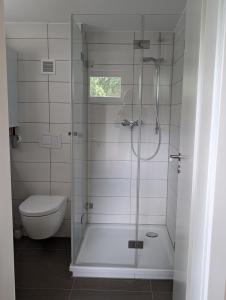 a bathroom with a shower and a toilet at Klein aber fein, Ferienhaus am Tonteich in Königs Wusterhausen