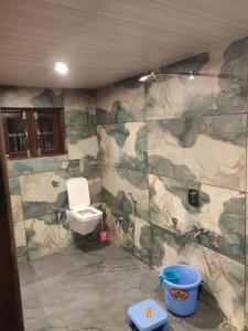 a bathroom with a toilet with a painting on the wall at the mountain dreams in Kolur
