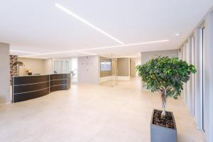 巴里Marisabella Suite 9的中间有盆栽的走廊