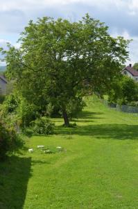Un jardín fuera de Apartmány u Mráza