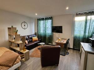a living room with a bed a couch and a desk at Residance Nassau logement 1 in Beauvais