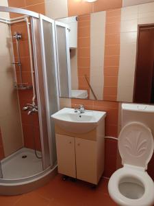 a bathroom with a toilet and a sink and a shower at Apartament 1 camera zona liniștită in Drobeta-Turnu Severin
