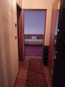 a hallway with a door leading into a room with a couch at Apartament 1 camera zona liniștită in Drobeta-Turnu Severin
