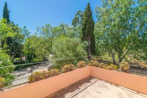 Ein Garten an der Unterkunft Can Ferrer