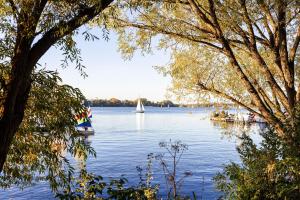 a sail boat on a lake with trees at Hotel Atlantic Hamburg, Autograph Collection in Hamburg