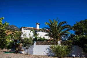 Zahrada ubytování Cortijo Grazalema piscina 5 Hbts con baño AC