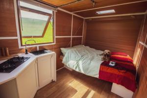 Η κουζίνα ή μικρή κουζίνα στο Leto Shepherds Hut By Airpremier +4 φωτογραφίες