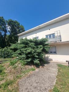 a pine tree in front of a building at Le B'Rock in Liévin