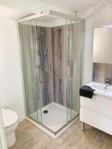 a bathroom with a shower and a toilet at Gîte Studio Les Ecureuils in Narbonne