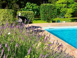 a garden with purple flowers next to a swimming pool at Gîte Studio Les Ecureuils in Narbonne +2 photos