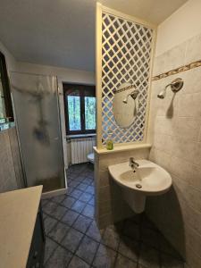 y baño con lavabo y ducha. en Al Picchio Verde A.P.S., en Cunardo