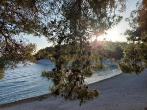 Φυσικό τοπίο κοντά σε αυτό το κάμπινγκ