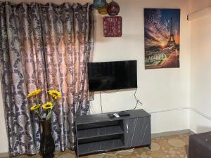 a living room with a television and a vase with flowers at Villa de chez nous in North Legon