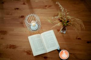 Knihovna v apartmánu