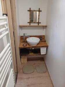 ein Badezimmer mit Waschbecken und Spiegel in der Unterkunft La Cabane des 2 Sœurs (chalet 4-6 personnes) in Les Ougiers