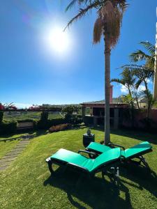 een blauw voorwerp dat op het gras naast een palmboom ligt bij Casa Caboz in Ponta do Sol