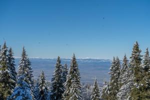 Foto dalla galleria di Zvezditsa Chalet a Vitosha