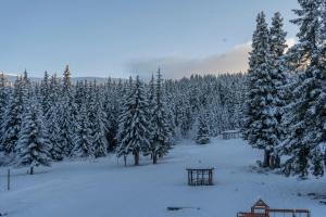 Zvezditsa Chalet v zimě