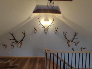 Galeriebild der Unterkunft Domek Myśliwski in Gołkowice Dolne