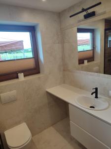 un bagno con lavandino, WC e specchio di Domek Myśliwski a Gołkowice Dolne