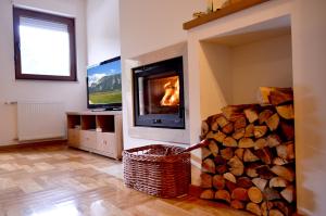 TV a/nebo společenská místnost v ubytování Apartments Bosco