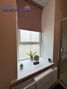 a window with a mirror and plants on a window sill at Cross Wynd Apartment in Hawick +9 photos