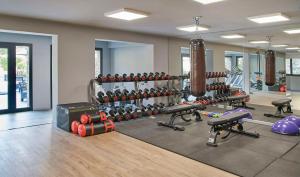 a gym with a bunch of equipment in a room at NH Collection Andorra Palomé in La Massana