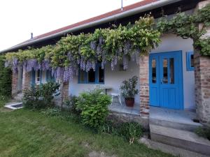 a house covered in wisteria with a blue door at Kisbagoly Vendégház in Parád