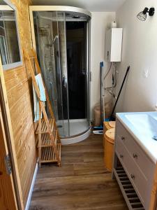a bathroom with a shower and a sink at Un étang idéal pour la famille in Moussac-sur-Vienne