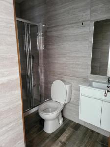 a bathroom with a toilet and a shower and a sink at Leao de Ouro in Matosinhos +16 photos