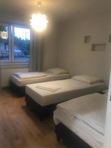 three beds in a room with a window at Pokoje gościnne na Miłej in Kochlice