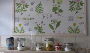 a shelf with jars and flowers on a wall at Wohnung Aal Obstbeem in Rommersheim mit Garten und Grill in Rommersheim