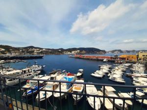a group of boats docked in a harbor at VisitPonza - Le Naiadi in Ponza