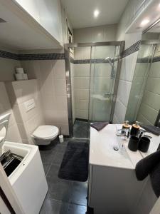 a bathroom with a sink and a shower and a toilet at Perfectly located holiday place in Beaulieu-sur-Mer