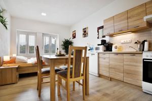 Kuchyňa alebo kuchynka v ubytovaní Apartmány Děčín