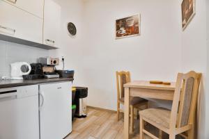 Kuchyňa alebo kuchynka v ubytovaní Apartmány Děčín