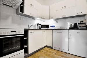 Kuchyňa alebo kuchynka v ubytovaní Apartmány Děčín