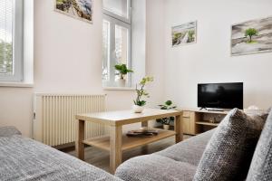 Televízia a/alebo spoločenská miestnosť v ubytovaní Apartmány Děčín