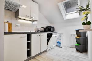 Kuchyňa alebo kuchynka v ubytovaní Apartmány Děčín