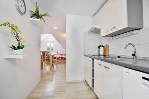 Kuchyňa alebo kuchynka v ubytovaní Apartmány Děčín