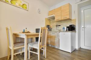 Kuchyňa alebo kuchynka v ubytovaní Apartmány Děčín