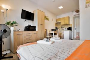 Kuchyňa alebo kuchynka v ubytovaní Apartmány Děčín