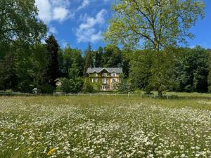 uma casa no meio de um campo de flores em Private Oasis: Luxe 20-guest Estate, Jacuzzi, 8 Ha em Bazeilles
